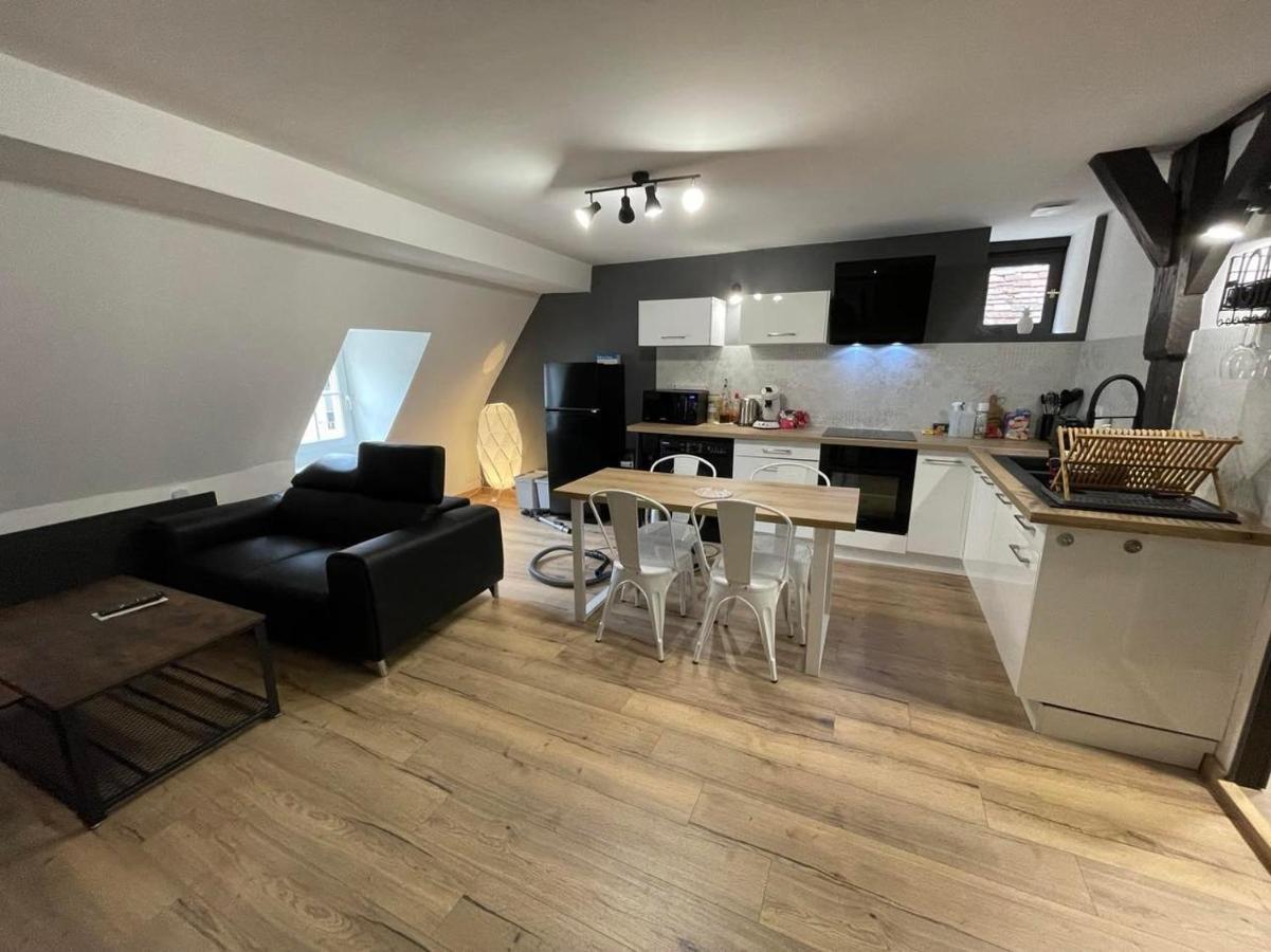 Appartements Chez Delphine Et Guillaume Au Coeur De Semur En Auxois Luaran gambar